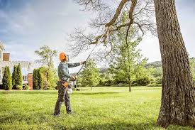 Best Pest Control for Lawns  in Forest Oaks, NC